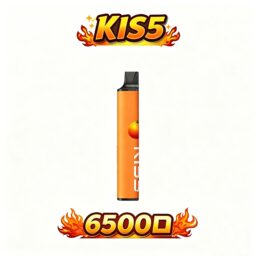 KIS5 鎧斯 6500 巔峰級雙芯磁吸黑科技 自由配對綻放百變層次 解鎖專屬奇幻風味體驗 享受絲綢般細膩擊喉感 極致流線工藝手感 台灣現貨